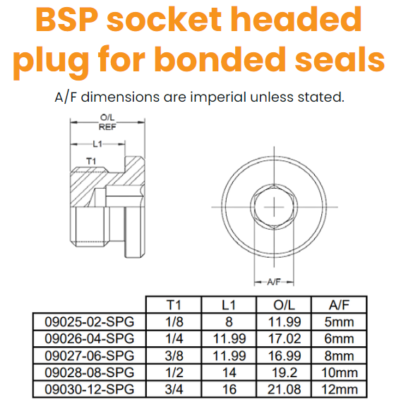 1/8 BSP Socket Head Plug For bonded seal Hydraulic Adaptor