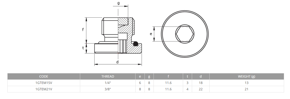 Steel Zinc-coated steel plug with magnetic insert 1/4 BSP TCEM/V