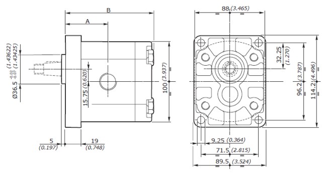 Galtech Hydraulic Gear Pump, Gp2, 4.0CC, Clockwise, 1/2" BSP Inlet, & Outlet, EU 4Bolt 1/8 Taper