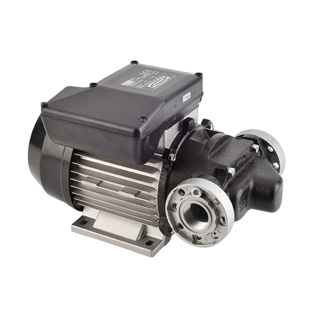 Piusi E120 Electric Diesel Transfer Pump, 110v/50Hz/60Hz