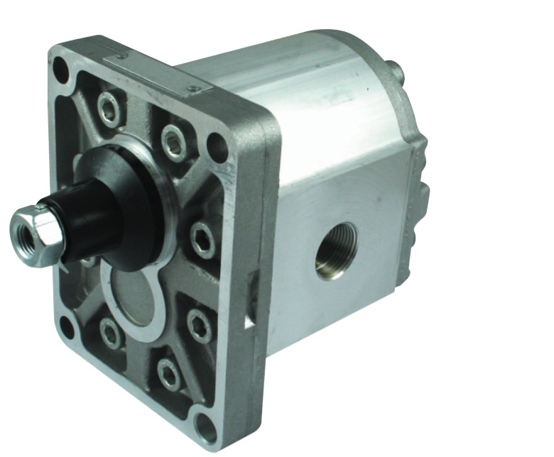 Hydraulic Group 2 Gear Motor, Reversible, 11CC, BSP Ports