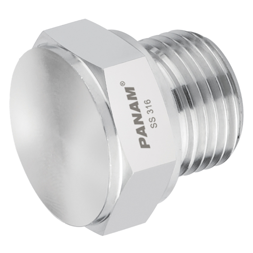 Stainless Steel, BSP Plug, 1/8"