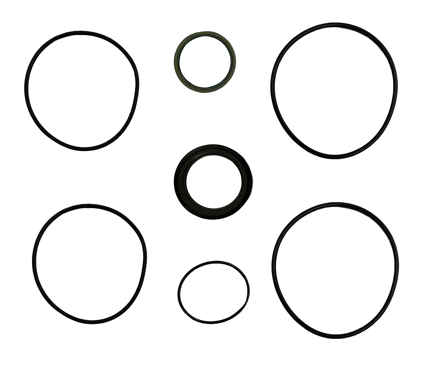 Seal Kit for FFPMW Hydraulic Motor