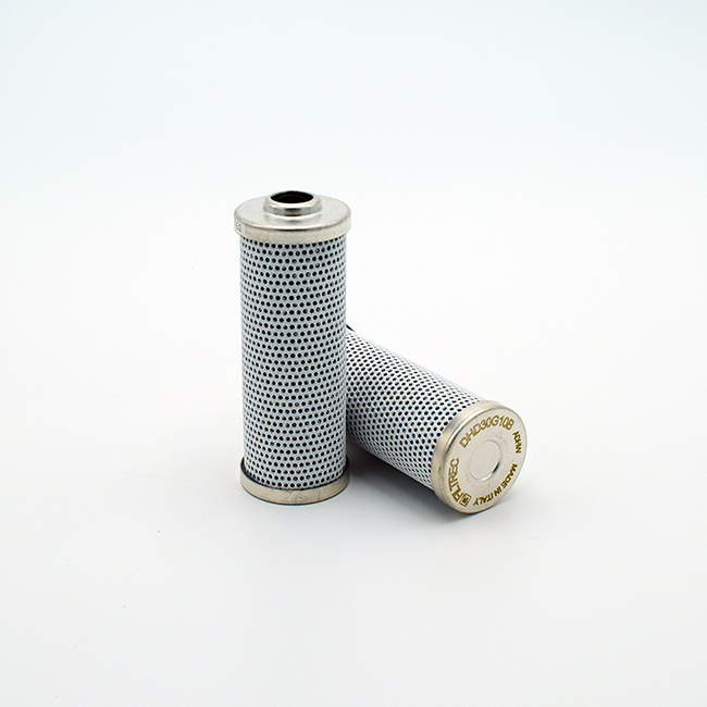 Filtrec DHD30G20B Filter Element