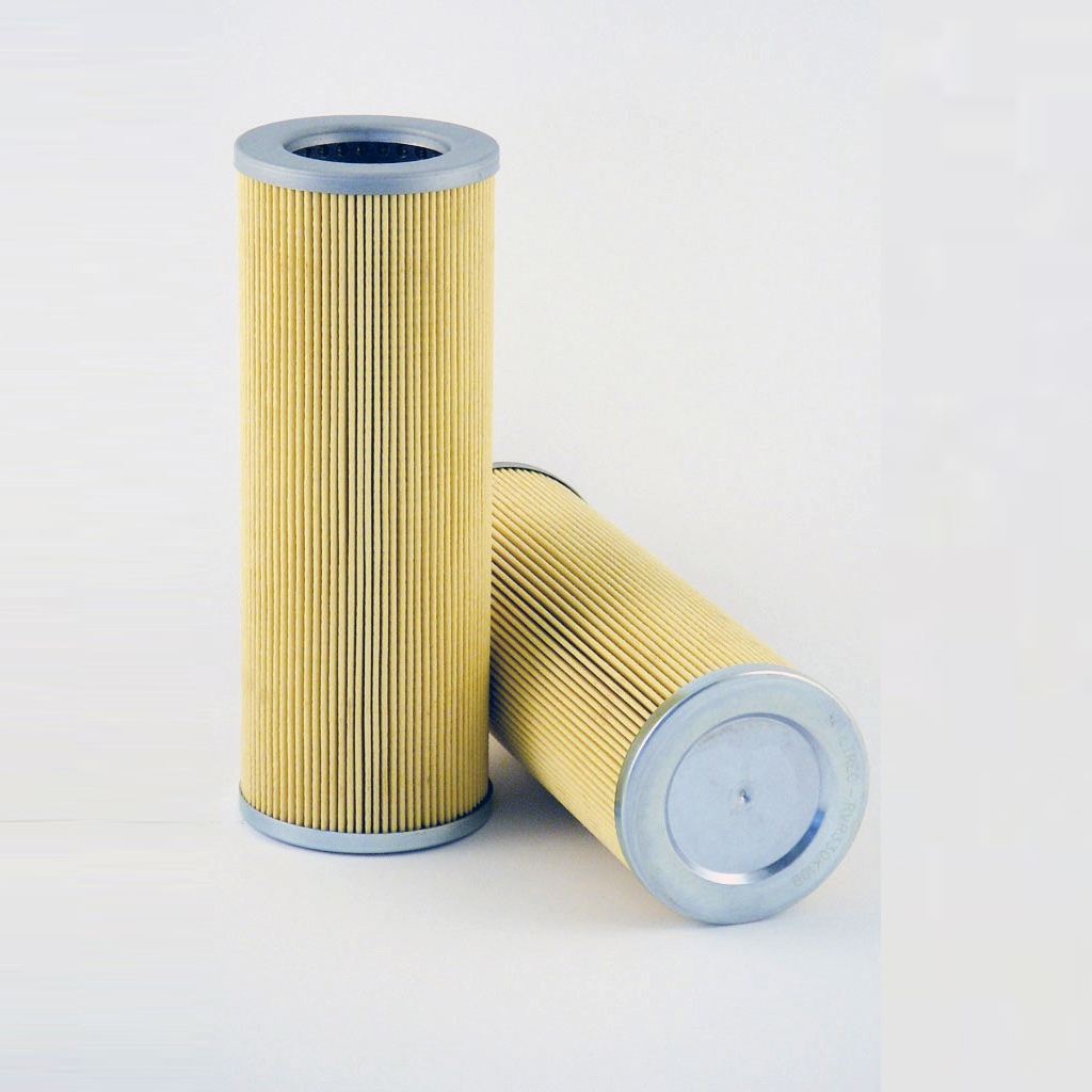 Filtrec RVR165E03B Filter Element