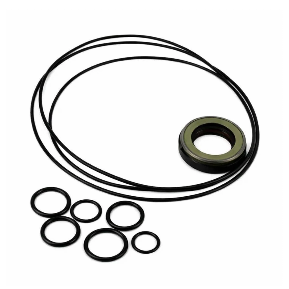 Seal Kit for M+S MLHPQ Motors