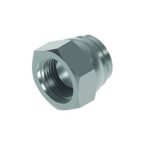 1/8 BSP Swivel Cap