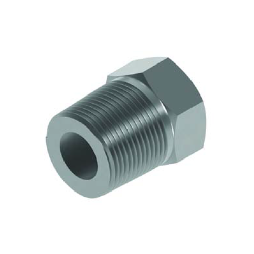1/4 NPTF x 1/8 BSP M/Fix Fem Bush Hydraulic Adaptor