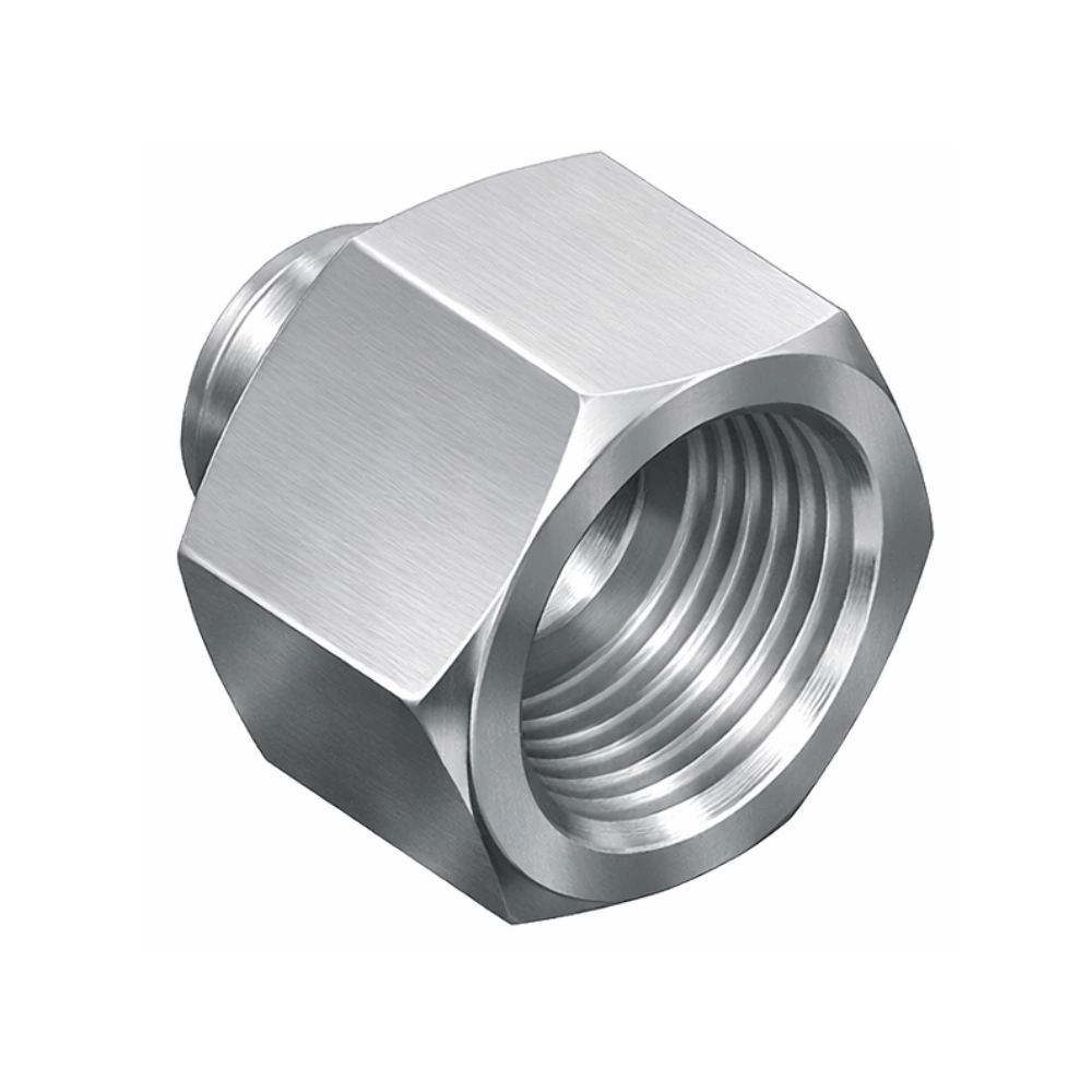 Stainless Steel 60° Cone Swivel Female Plug, 1/4" BSP