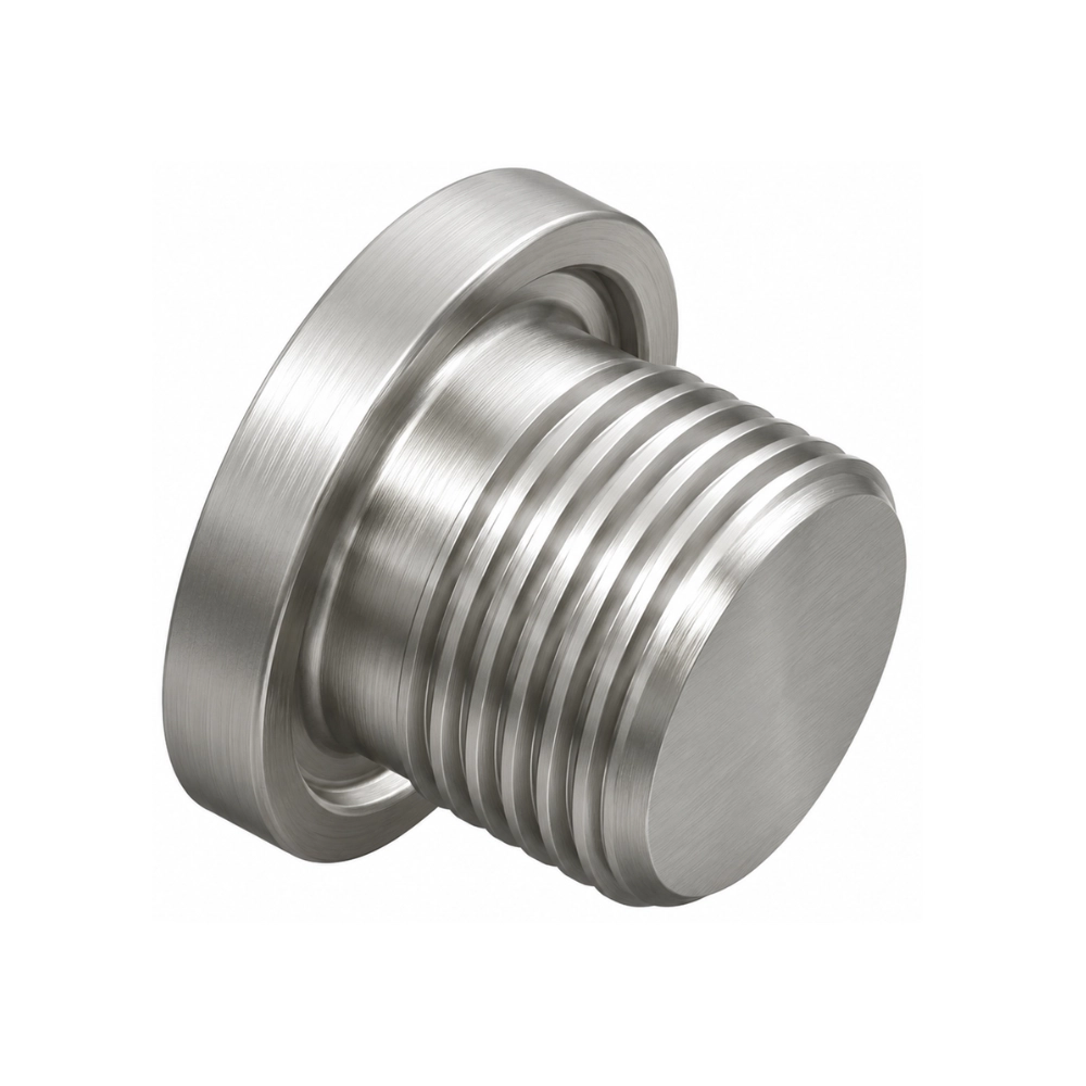 Stainless Steel 1/4" BSP Blanking Plug with Viton Seal