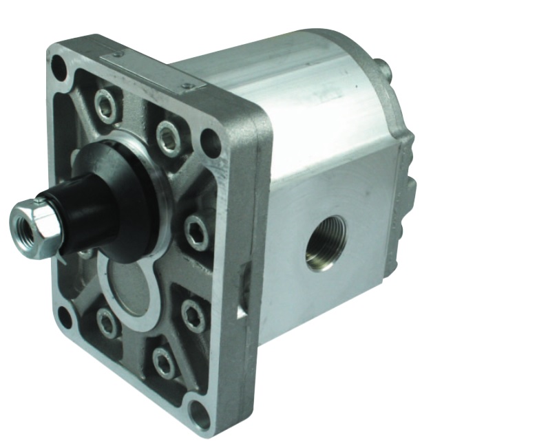 Hydraulic Group 2 gear motors, Reversible (with external drain), 4CC, 4 Bolt, 1/8 Taper, BSP ported