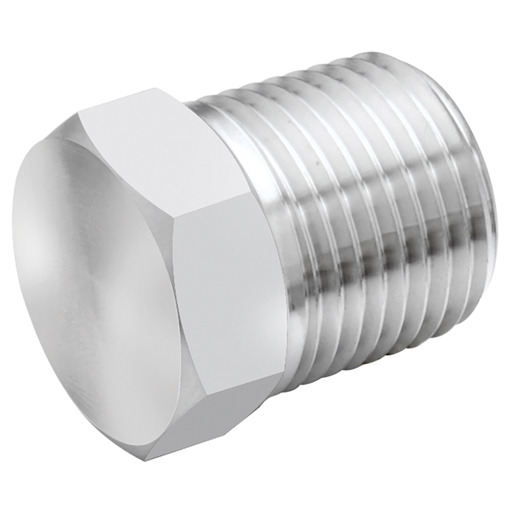 Stainless Steel, BSPT Plug, 1"