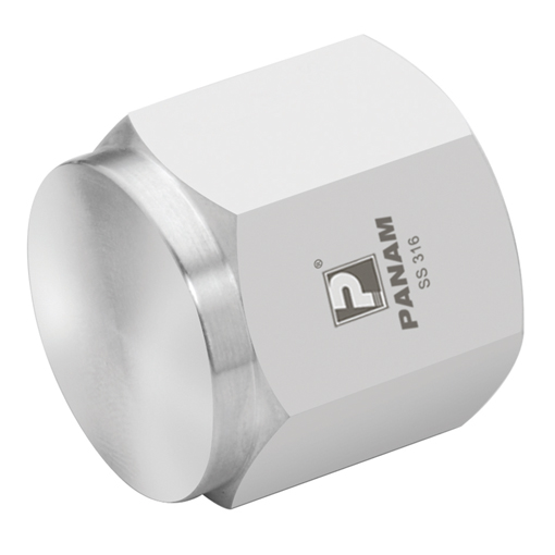 Stainless Steel, BSP Cap, 1" Stainless Steel, BSP Cap, 1"