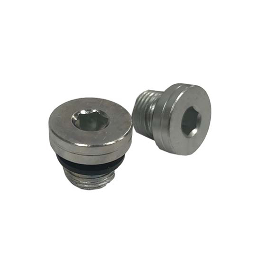 G 1/8" BSP Plug for 565102, C/W seal