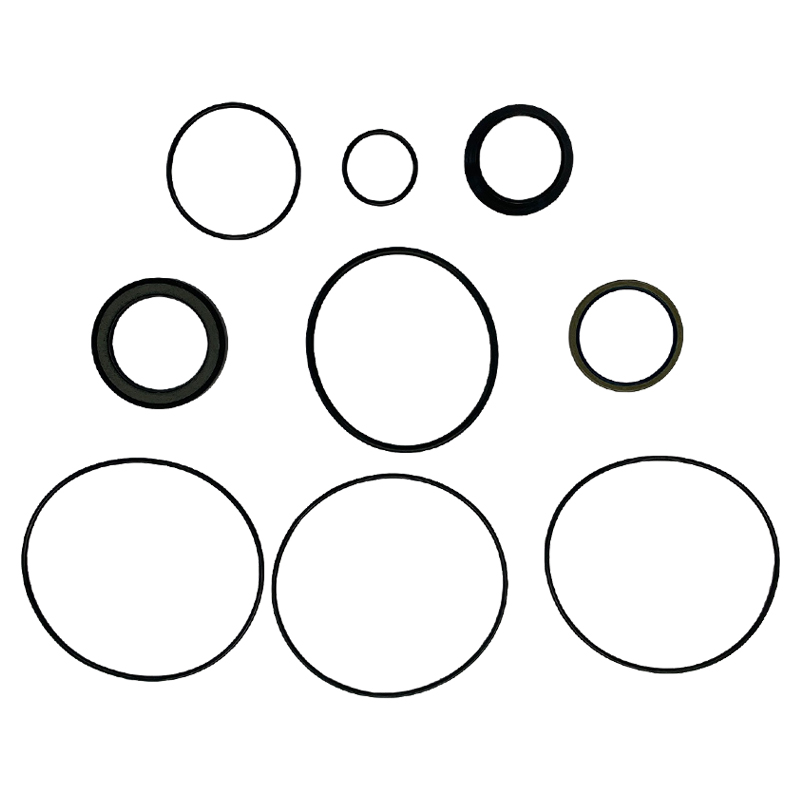 Seal Kit for EPMSW Hydraulic Motor