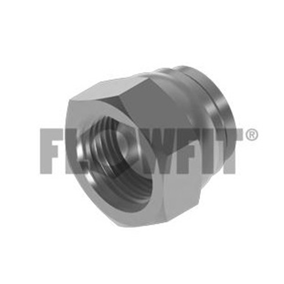 "BSP Swivel Blanking Cap, 1/2 Plugs, Caps and Crimp Nuts Hydraulic QRC's and Adaptors"