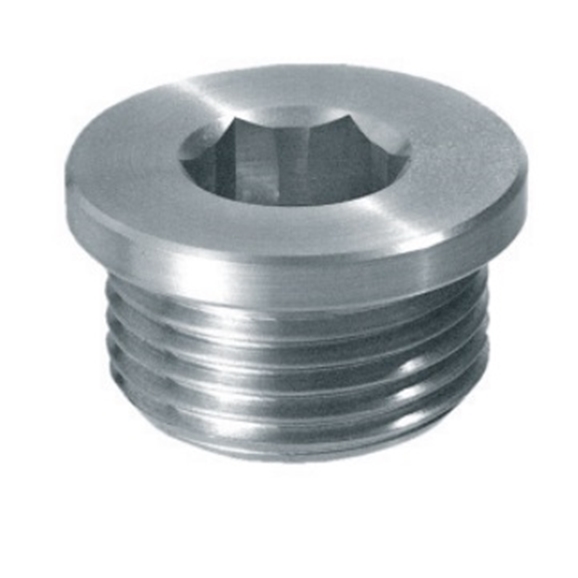 Hydraulic drain filling plug with hex slot, 1" BSP, TCE5G